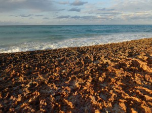 Strandspaziergang zum Sonnenuntergang