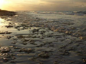 Strandspaziergang zum Sonnenuntergang