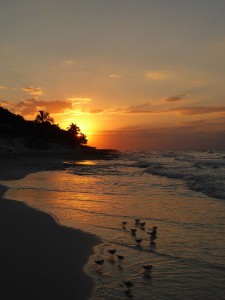 Strandspaziergang zum Sonnenuntergang