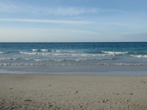 Strandspaziergang mit Pelikan