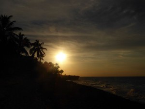 Strandspaziergang mit Pelikan