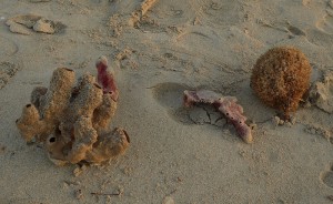 Strandfundstücke