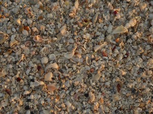 Strandfundstücke