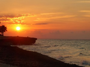Strandspaziergang mit Pelikan