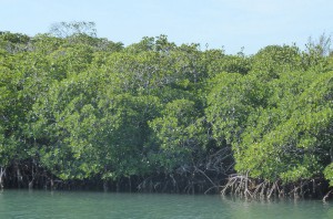 Fahrt nach Cayo Blanco