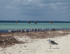 Cayo Blanco
