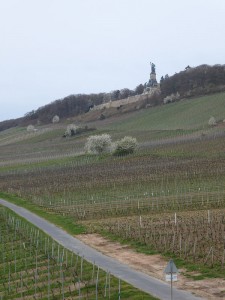 Fahrt mit der Seilbahn Rüdesheim