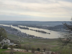 Blick nach Rüdesheim