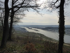 Binger Blick