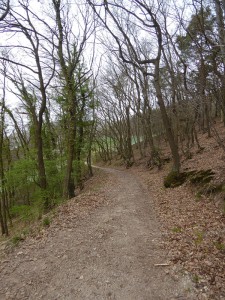 und Waldwege