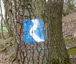 Wanderzeichen Rheinsteig