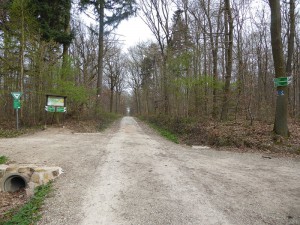 auf dem richtigen Weg