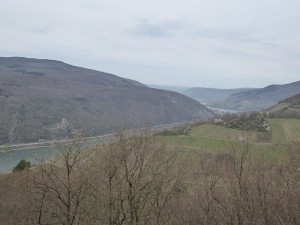 Blick ins Mittelrheintal