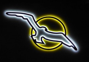 Albatros