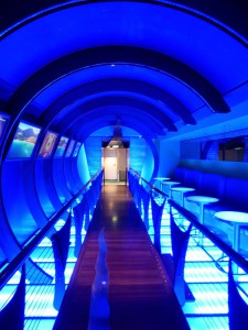 Time Tunnel
