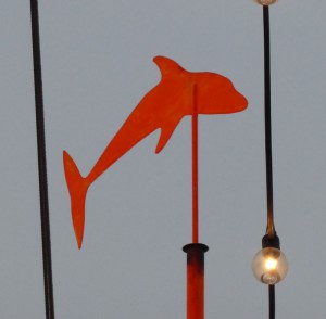 Wetter-Delfin