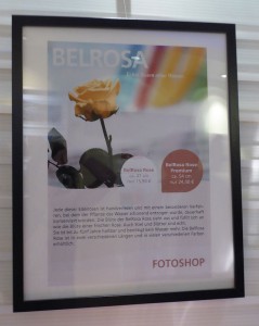 Foto Galerie