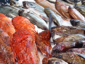 Fischmarkt von Ajaccio