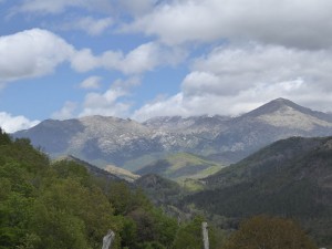 "Alpenpanorama"