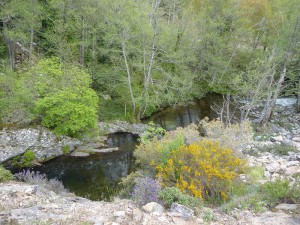 Prunelli Schlucht