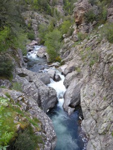 Prunelli Schlucht