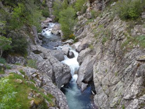 Prunelli Schlucht