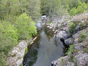 Prunelli Schlucht