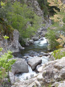 Prunelli Schlucht