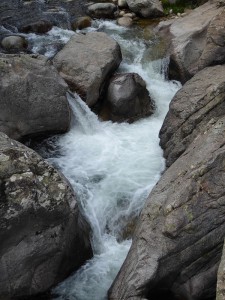 Prunelli Schlucht