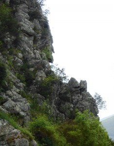die Hexe