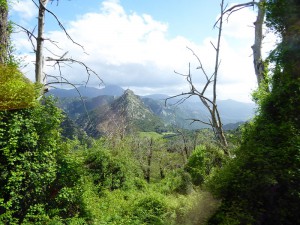 Aussicht