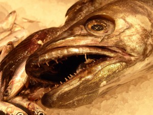 Mercat Sta. Caterina