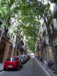 Alleeartige Gasse