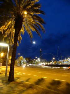 fast voller Mond