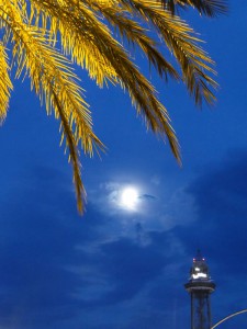 fast voller Mond