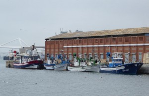 Boote für den Sardinenfang