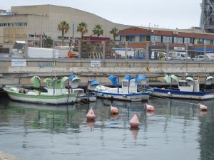 Beiboote für den Sardinenfang