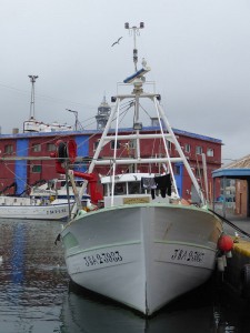 Boote für den Sardinenfang