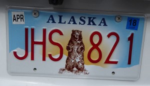 ein Grizzly auf dem Nummernschild