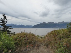 Beluga Point