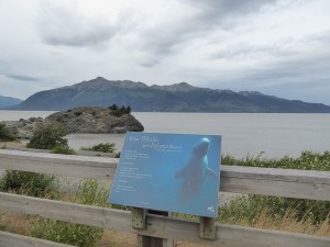 Beluga Point
