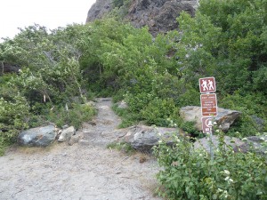 Windy Point Trail