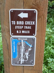 Bird Creek