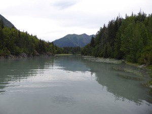 Bird Creek