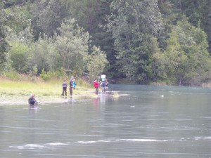 Bird Creek