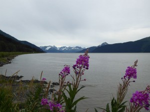 Turnagain Arm