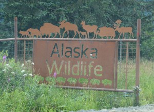 Alaksa Wildlife Conservation Center