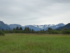 Blick zum Portage Gletscher Tal