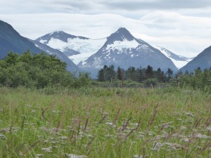 Blick zum Portage Gletscher Tal