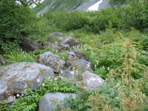 Byron Glacier Trail